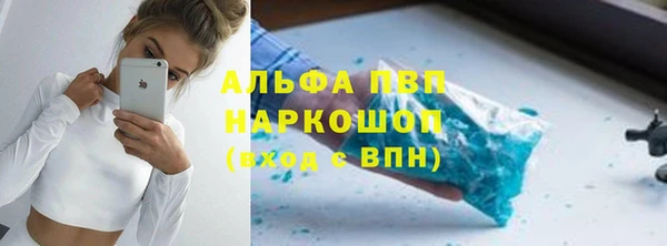 прущие грибы Осташков