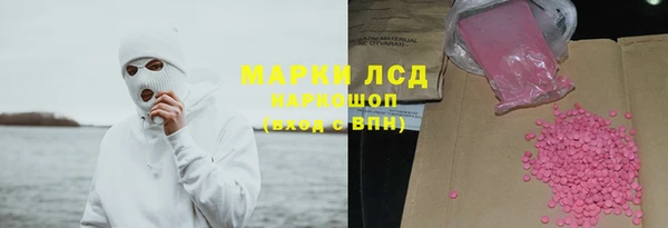 прущие грибы Осташков