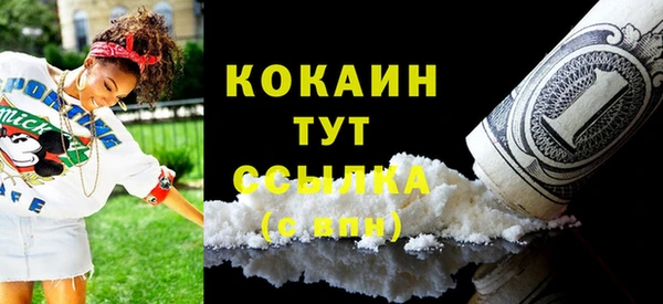 прущие грибы Осташков