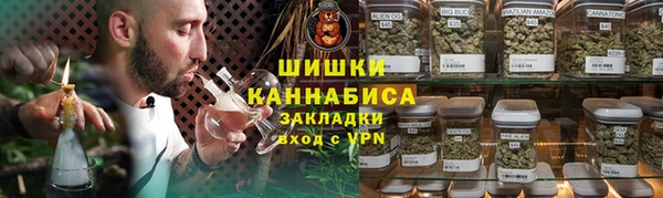 прущие грибы Осташков
