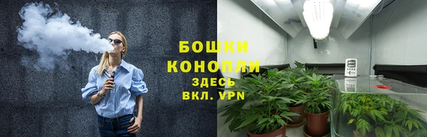 прущие грибы Осташков