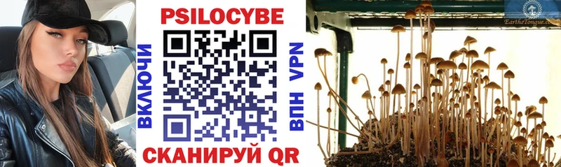 как найти наркотики  Чебаркуль  Галлюциногенные грибы Cubensis 