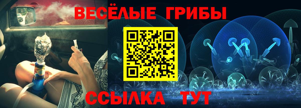 Чебаркуль  Псилоцибиновые грибы Psilocybe  Вход с VPN 